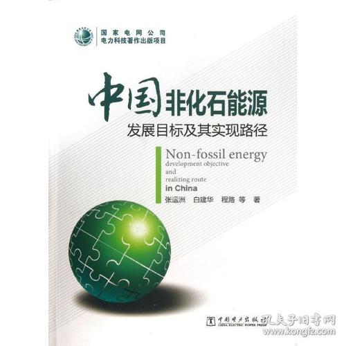 中国非化石能源发展目标及其实现路径
