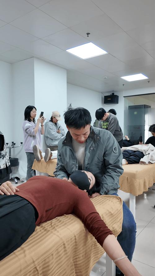 从理论到实践,师夫子如何让中医学习更接地气?